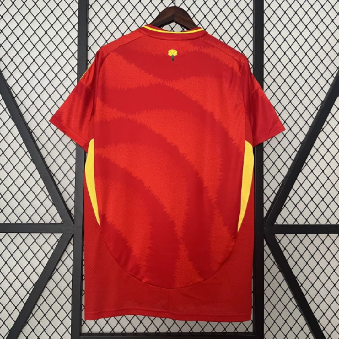 SPAIN 2024/25 HOME