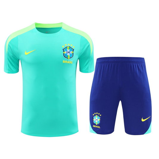 Brazil Training set 2024/25