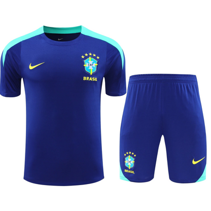 Brazil Training set 2024/25